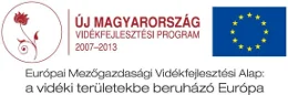 uj magyarorszag